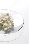 Ingredient Image