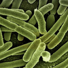 Ingredient Image